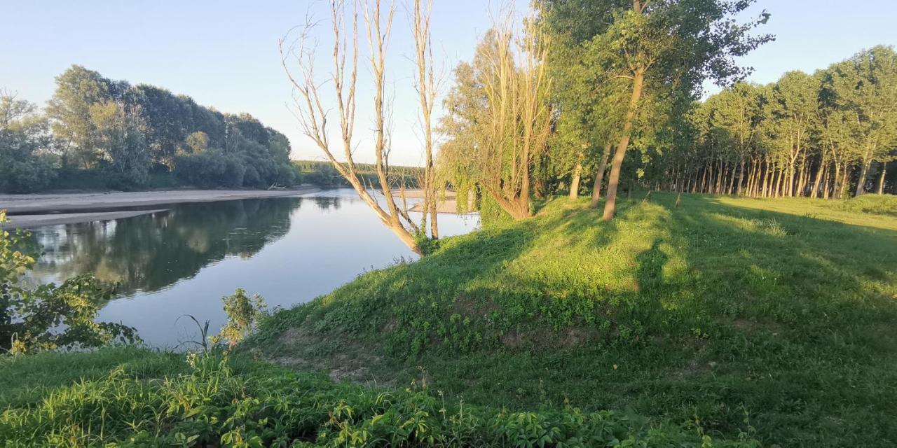 Villa Pertini Appartamento Primo Piano Nel Parco Oglio Sud Canneto sull'Oglio Eksteriør bilde